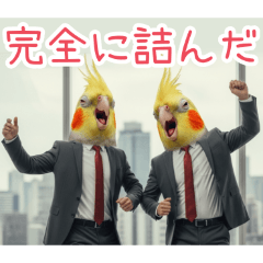 PAKAMOGOLY_20260421225348