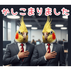 PAKAMOGOLY_20260421225536