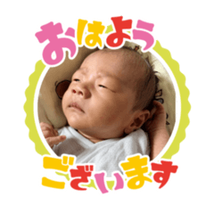 shusukestamp