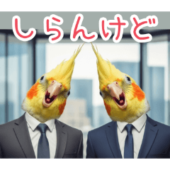 PAKAMOGOLY_20260421225448