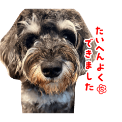 ginta_20260422112352