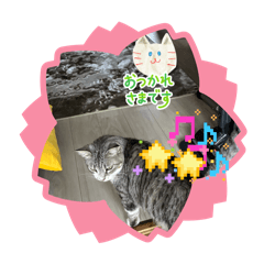 Eichan_20260422112357