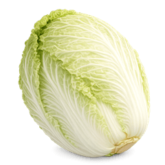 超好吃的大白菜