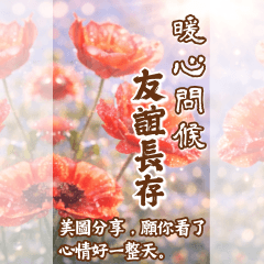 長輩問候圖，繁花映日篇｜早安午安晚安日常