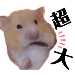 捏捏捏捏鼠鼠