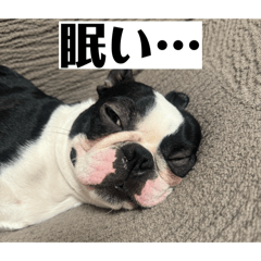 Fernando_20260421211840