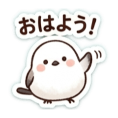 rinko_20260421211624