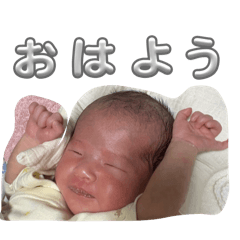 y-and-e_20260421211939