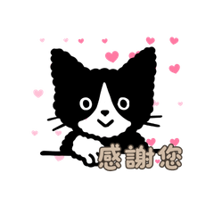 帕米樂貓貓來啦