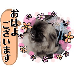 rie kai_20260421213819