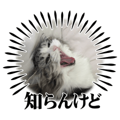 Yuuta_20260421232621