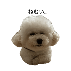 Aikawaii_20260421233038