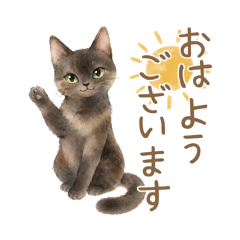 Serenia Garden_20260421232055