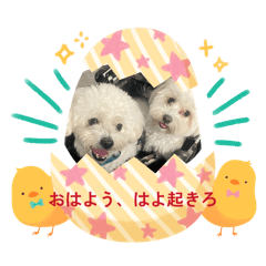 kome's_20260421232219