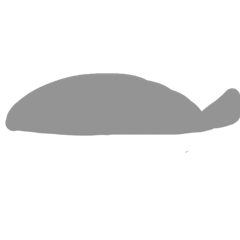 mackerel_20260421233320