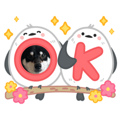 wakana_20260421233329