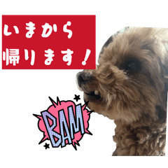 nosuke_20260421224258