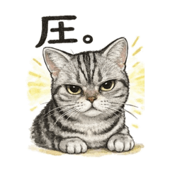 cocoa_20260421223658