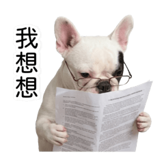 臭布布香布布佩佩豬可愛專屬貼圖