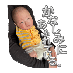 mmk_20260422000222
