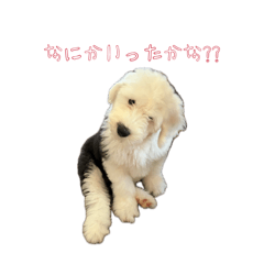 MYnanoo_20260422021620