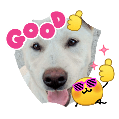 kwinsticker_20260421124033