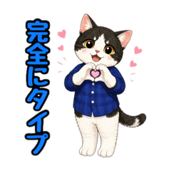 miyatatsu_20260421184710