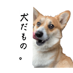 k_20260422100323