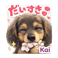 mikio_20260422102013