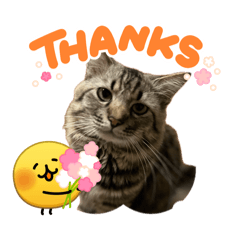 Nu_Oil_20260421132130