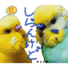 yomogimochi_20260422003213