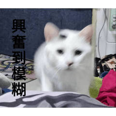 Regine_20260421221918