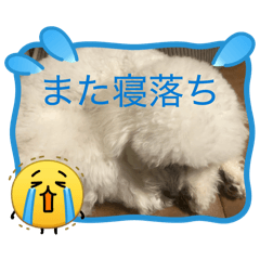Kosami_20260422003651