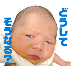 tak428438858545