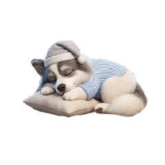 nattawadee_20260421135722