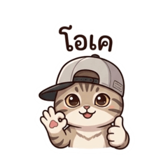 Youngcat1_20260421142059