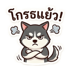 Mischievous Siberian