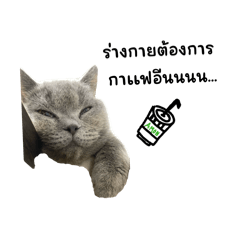 TQQRMM_20260421141337