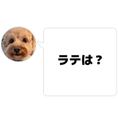 Momomo_20260421195816