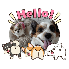 miyu39_20260421195454