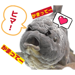 Yozora_20260421200042