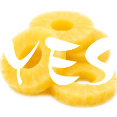 Shiba&Hana_20260421200158