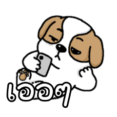 Aggressive  99_20260421154013