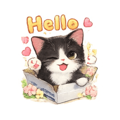 Chachaya_20260421145435