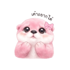 Focusly_20260421155435