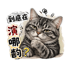 《失控情侶＋喵老闆吐槽日常》