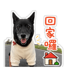 小乖家の日常用語