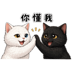 冒冒&小五貓咪人生