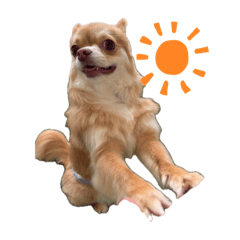 kojiro_20260421230706