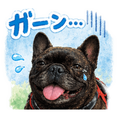 ryo-222_20260421230407